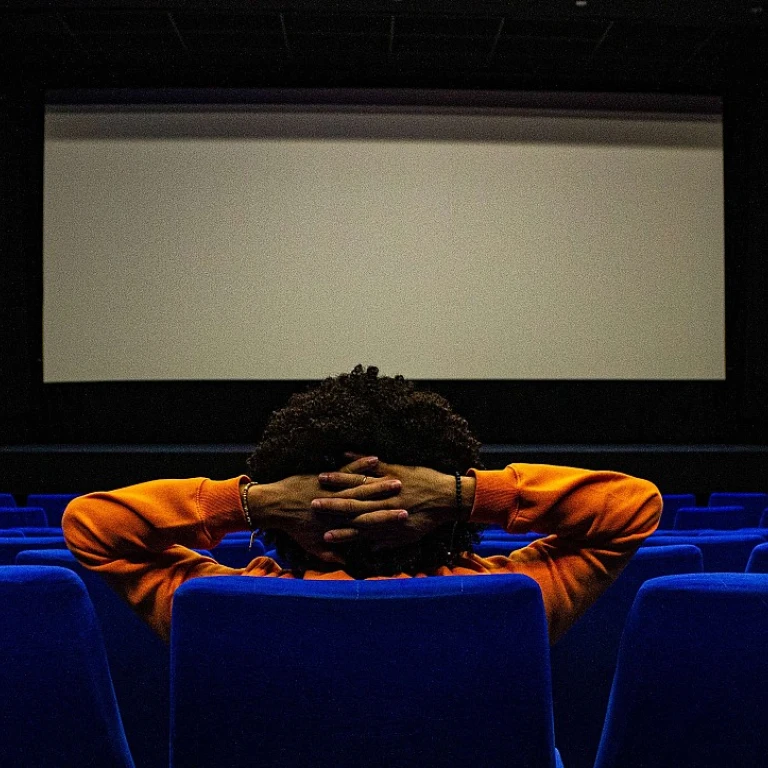 Plongez dans l'univers de la fête du cinéma