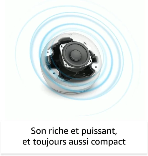 51ItQoni56L._AC_SL1000_