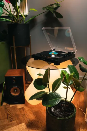 81nw2RfpvhL._AC_SL1500_