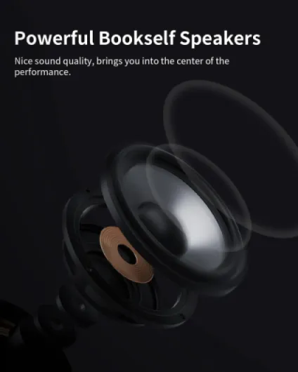 51Q8MSjDplL._AC_SL1500_