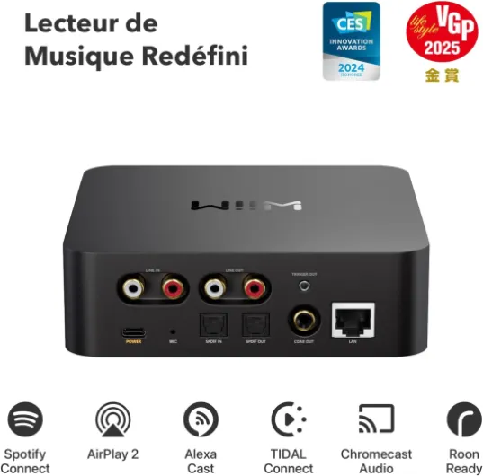 Pro Plus Récepteur AirPlay 2, Google Cast Audio, Streamer multiroom WiFi, Roon Ready, Compatible avec Alexa, Siri, Google Assistant, Stream Audio Haute résolution de Spotify, Amazon Music, Tidal