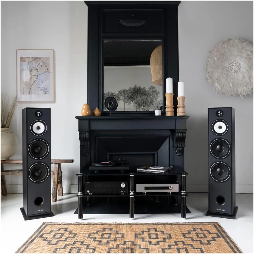 Enceinte Colonne Hi-FI BOREA BR10 - Puissance Admissible 200W - Rendement 92 DB/W/m – Haut-parleurs 21 cm – Polyvalente Musique et Home-Cinéma - 245 x 1110 x 380 mm - Noir (Pièce)