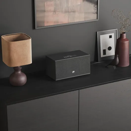 C10 MkII W Enceinte multiroom sans fil 80 W Amplificateur classe D, AirPlay 2, Google Cast, Bluetooth 5.0, entrée RCA Line-In, Subwoofer Out (Noir)