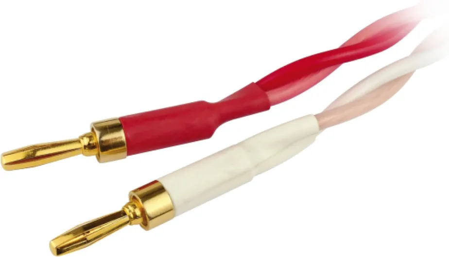 Perferct Sound Câble haut-parleur flexible 2 x 3 m, fiches bananes de qualité, confectionné, Coloris noir/rouge 3 m Unique