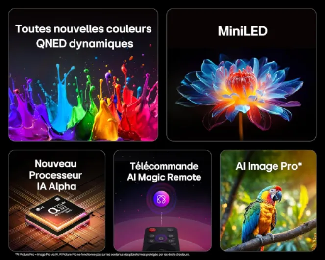 TV QNED Evo AI 2025 - 65QNED93A - 65'' (164 cm) - MiniLED 144Hz- Processeur α8 AI 4K Gen2 -Dolby Vision & Atmos - Alexa