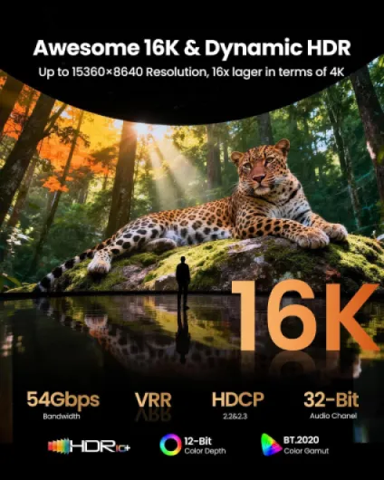 81t81aKx2dL._SL1500_